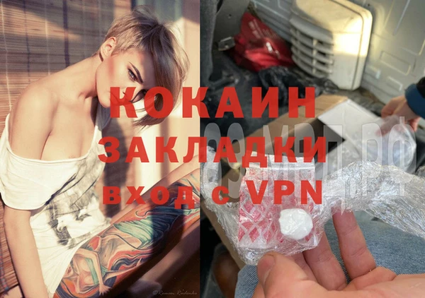 ПСИЛОЦИБИНОВЫЕ ГРИБЫ Богданович