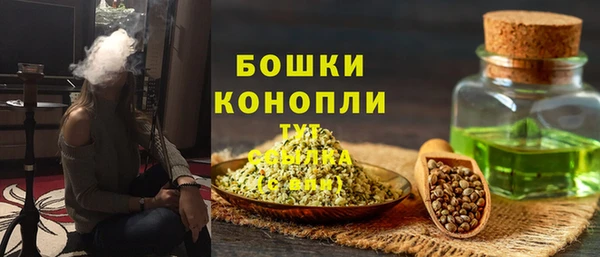 тгк Богородицк