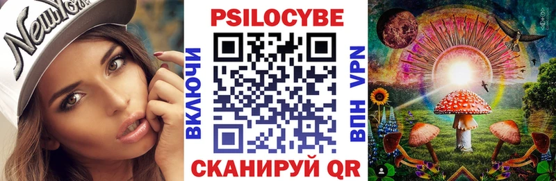 купить закладку  мориарти какой сайт  Псилоцибиновые грибы Psilocybine cubensis  Дубна 